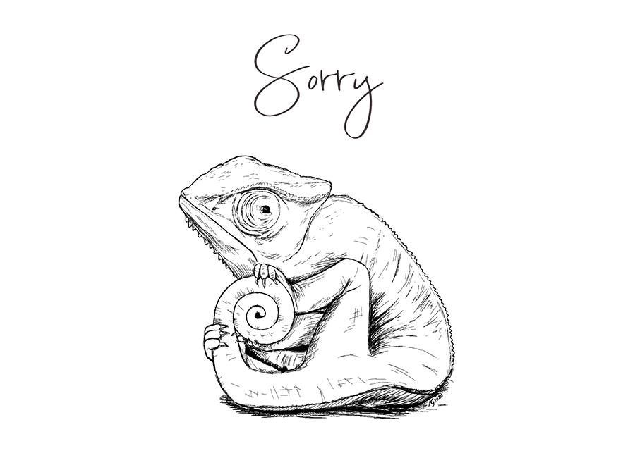 CHAEMAELEON SORRY